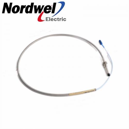 Bently Nevada | 330104-02-10-10-02-00 | 3300 XL 8 mm probes