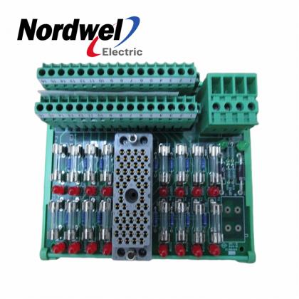 TRICONEX | 9563-810 | External Termination Panel Import,TRICONEX | 9563 ...