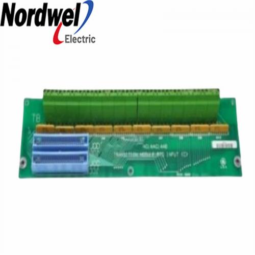 GE DS200TBCBG1AAA Termination Board