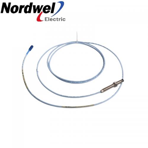 Bently Nevada 330101-00-25-05-01-05