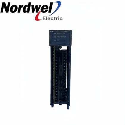 IC695ALG616-LF Analog Input Module