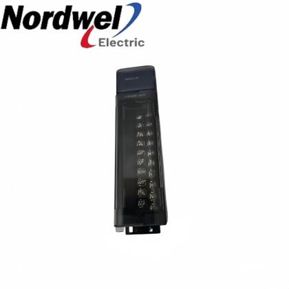 GE IC694ALG233-ED exact model