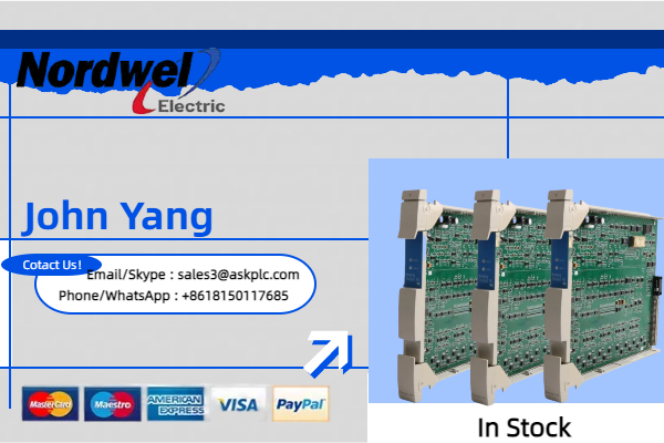 Dragon Boat Festival